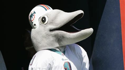 The recognizable miami dolphins flipper mascot